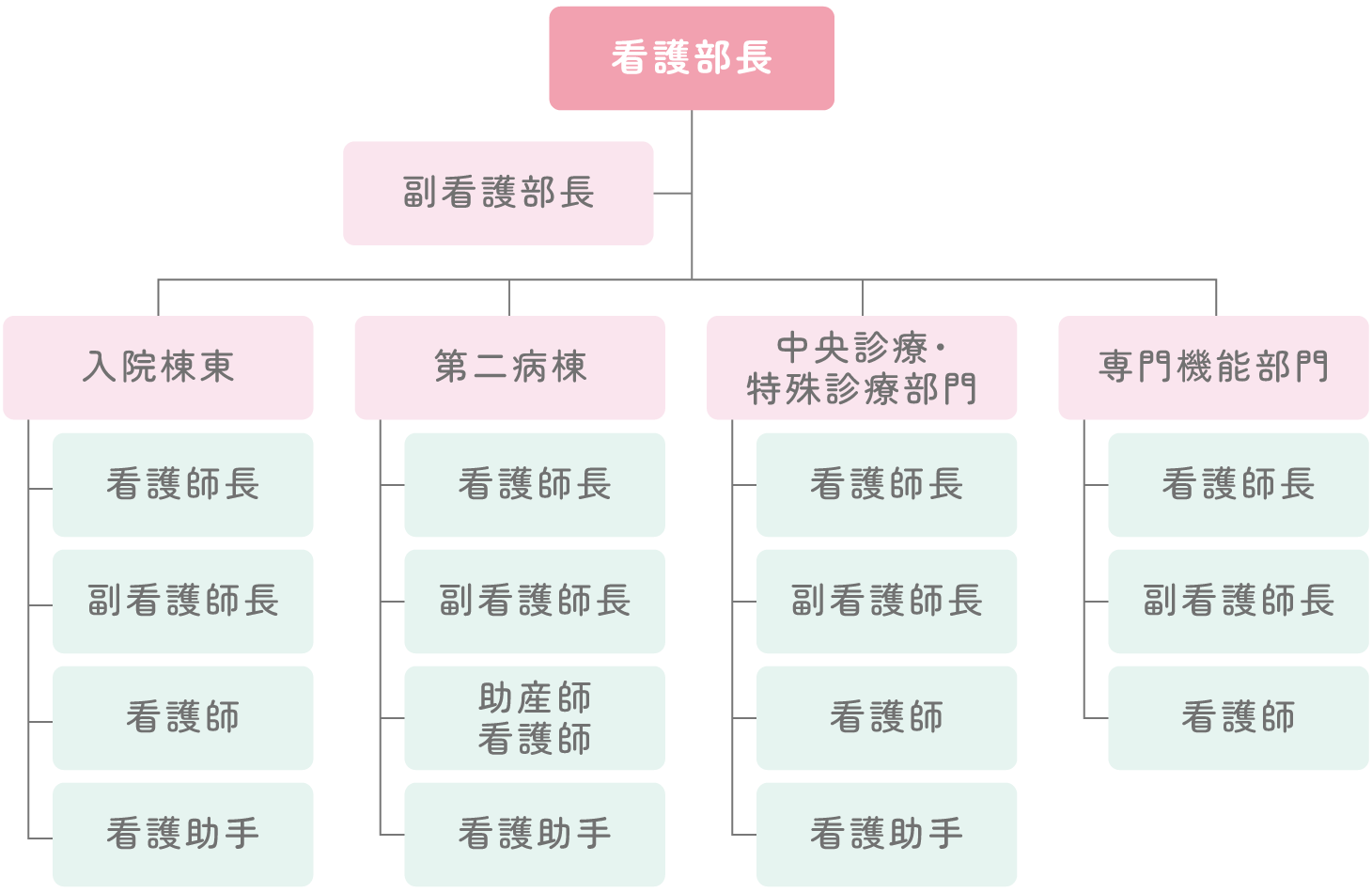 弘前大学医学部附属病院看護部 組織図