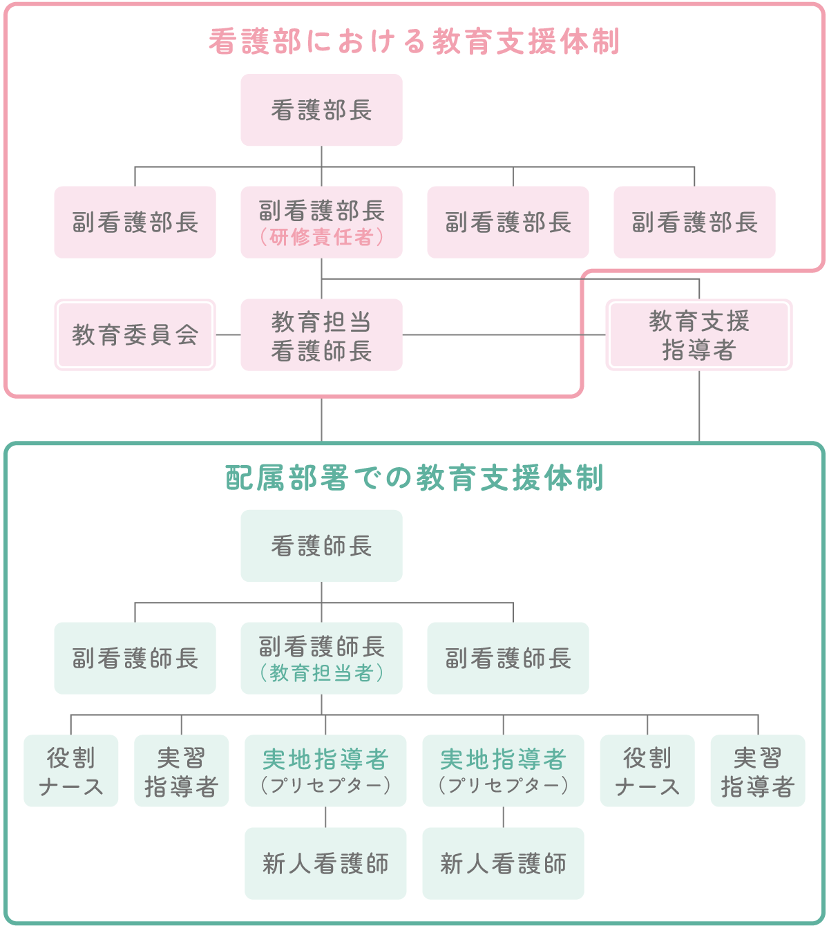 新人看護師の教育体制